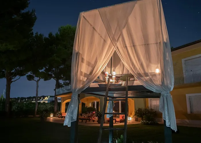 Tra Gli Alberi E Il Mare